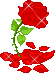 fleur--98-.gif
