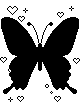 papillon (103)
