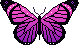 papillon (92)