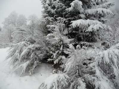 rimbach-3-copie-1