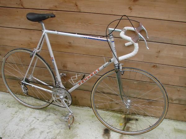 campagnolo bikes for sale