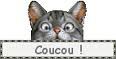coucou chat
