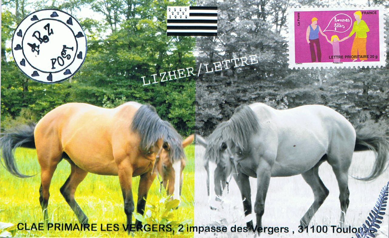 null 2009 XII 15 CLAE Primarie Les Vergers