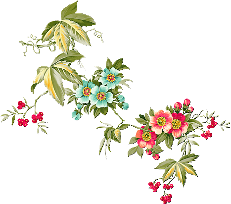 fleurs-03.png