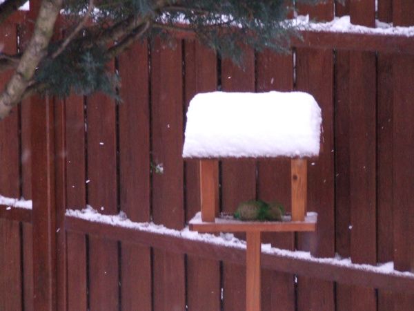 neige (3)