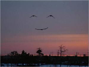 sourire.jpg