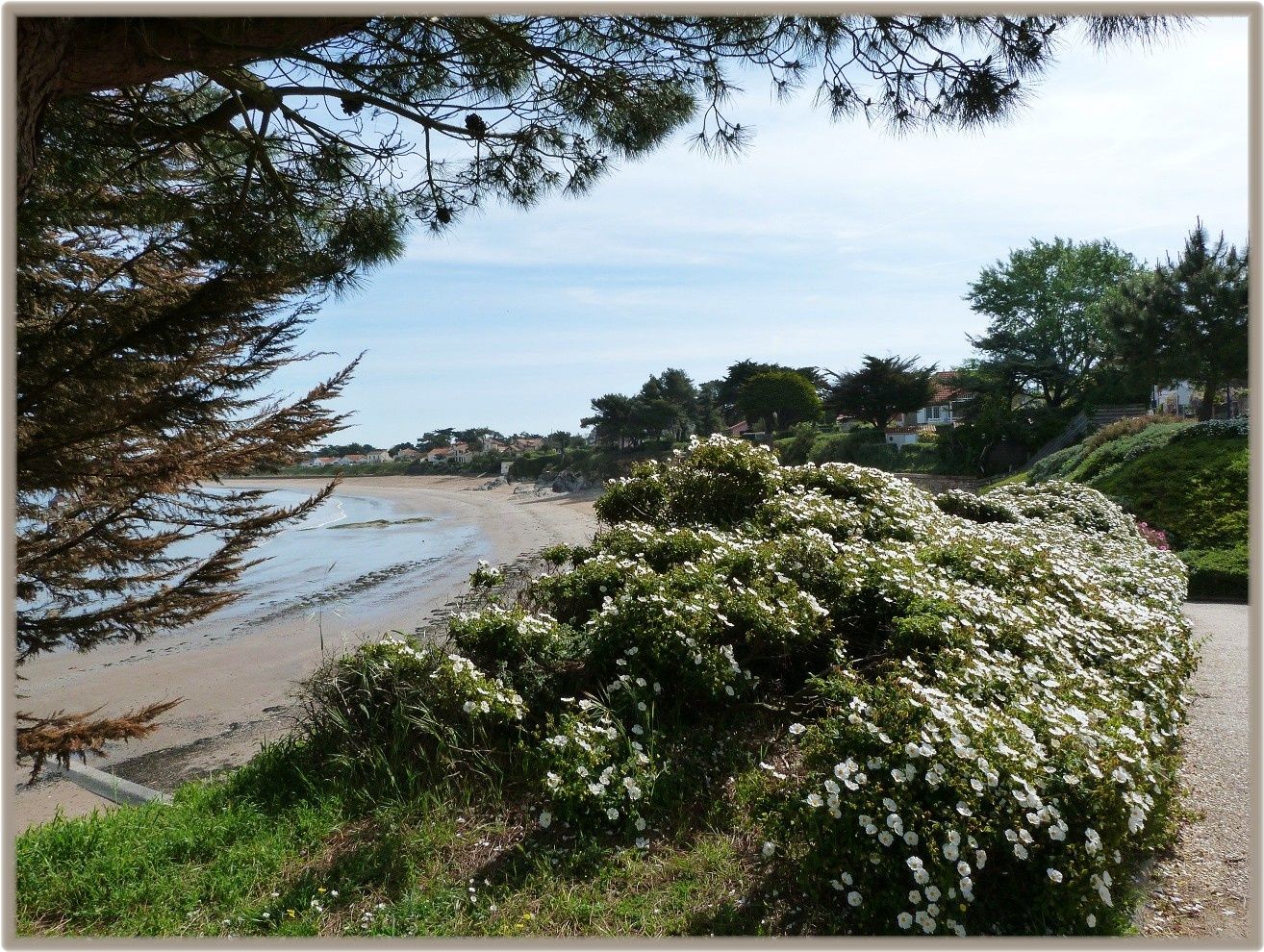 Promenade le long de la plage en direction du Cormier . Le blog de lanourse