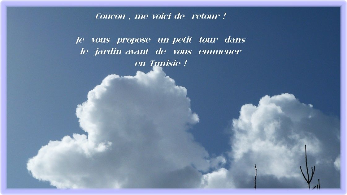 Coucou , je reviens vers vous ! Le blog de lanourse
