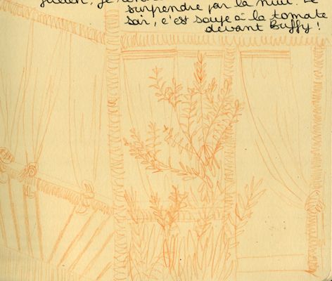 harrardessin2
