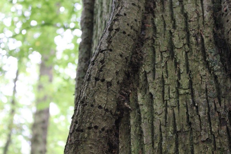 rencontres de la traduction 2012