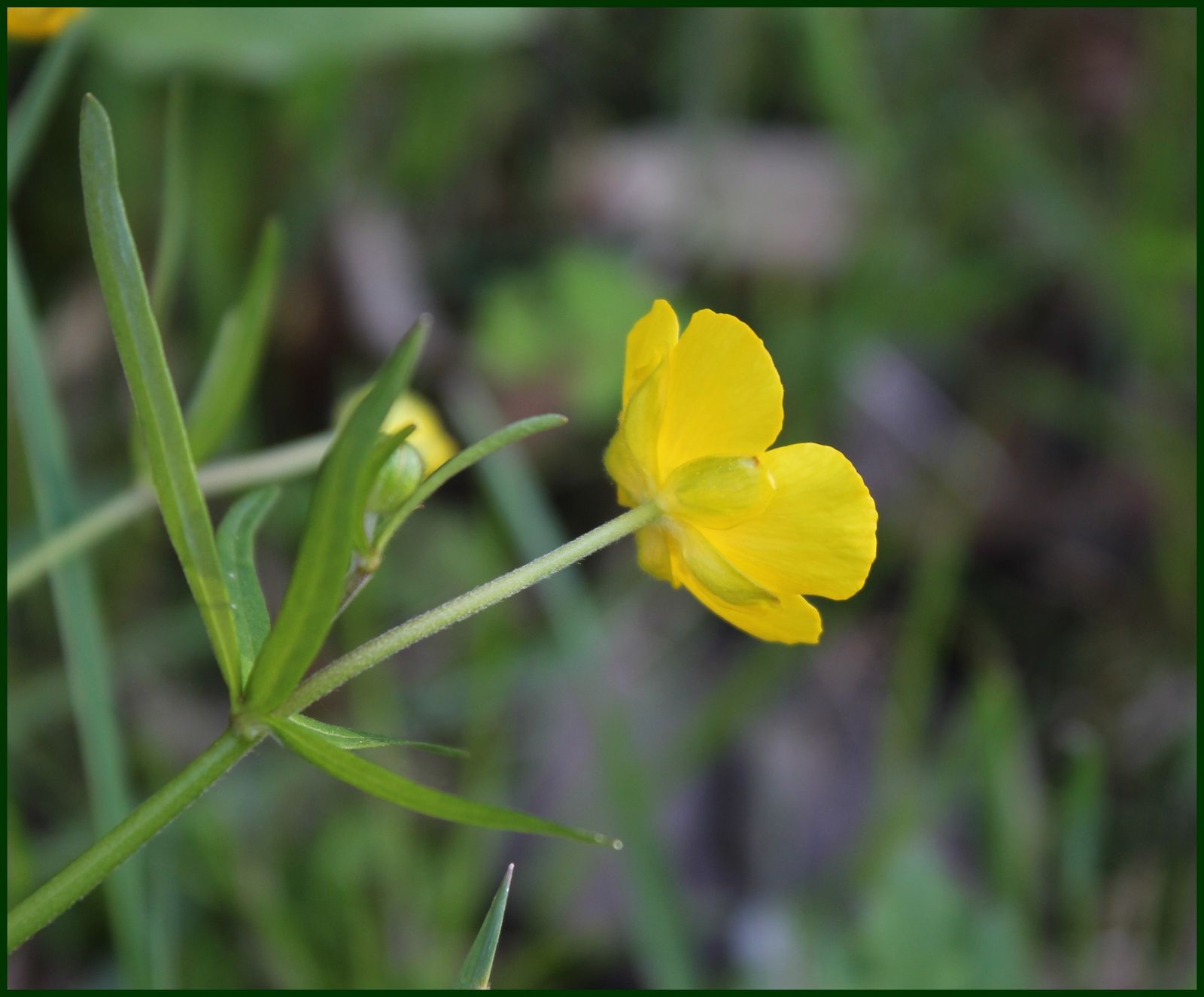 chemins et rencontres