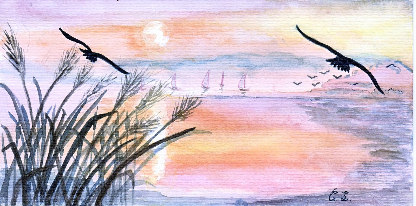 Rencontre aquarelle arvert