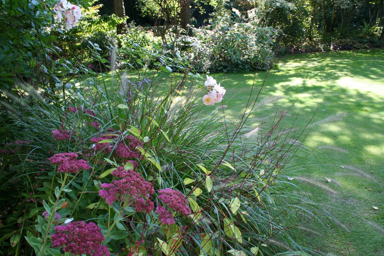 Rencontres jardin nature 85