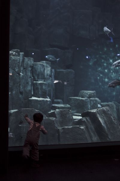 CineAqua-10