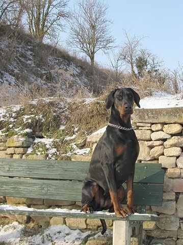 20100210 03