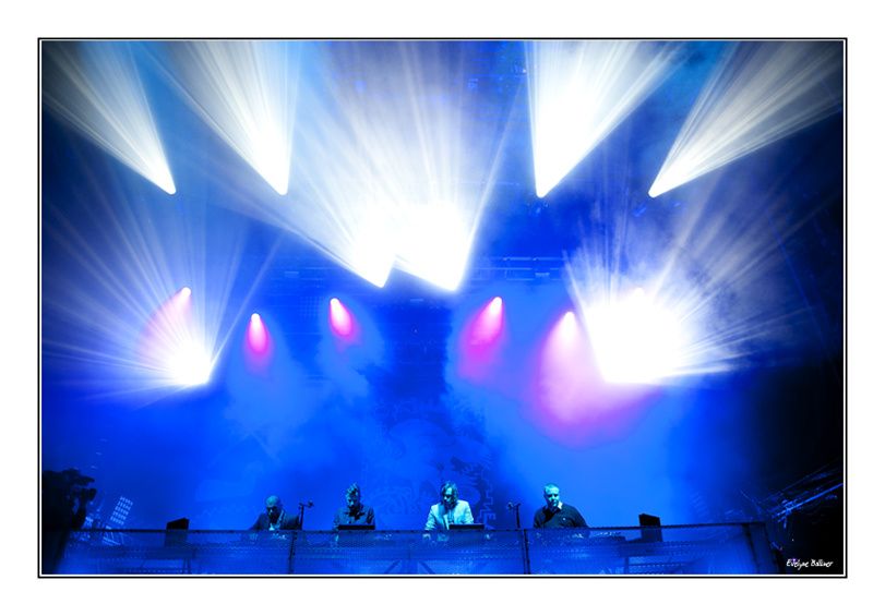 beauregard20011_birdy_nam_nam_2231.jpg