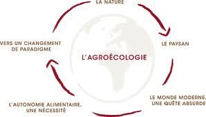 Agroecologie-1.jpg