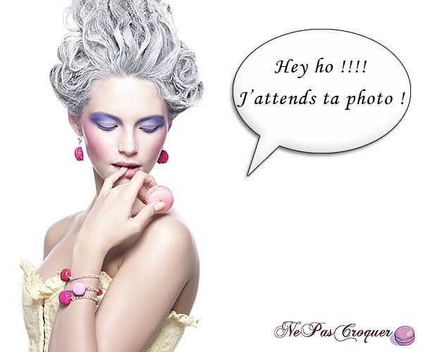 concoursphoto.jpg