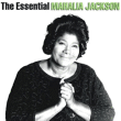 Nathalia Jackson essentiel
