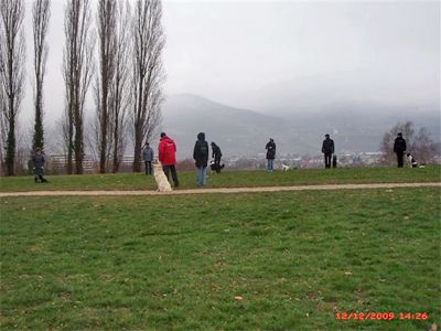(10)Samedi 12 décembre 2009