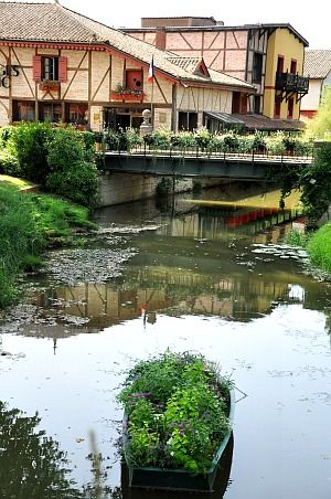 Georges-Blanc-37b.jpg