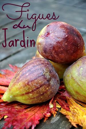 Tarte-aux-figues-et-amande-3b.jpg