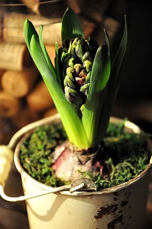 Oeufs-brouilles-3b.jpg