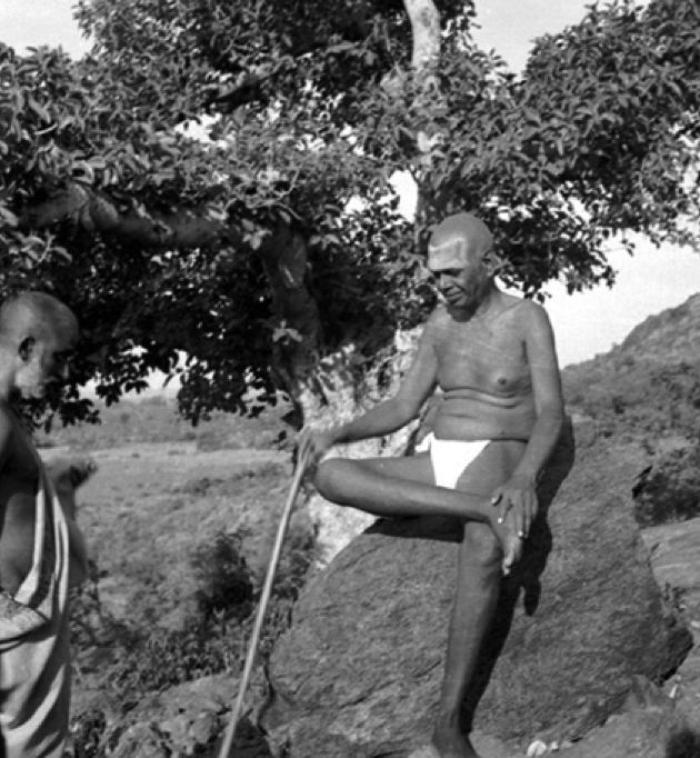 ramana-R31.jpg