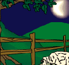 mouton7