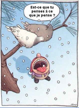 pigeon-neige