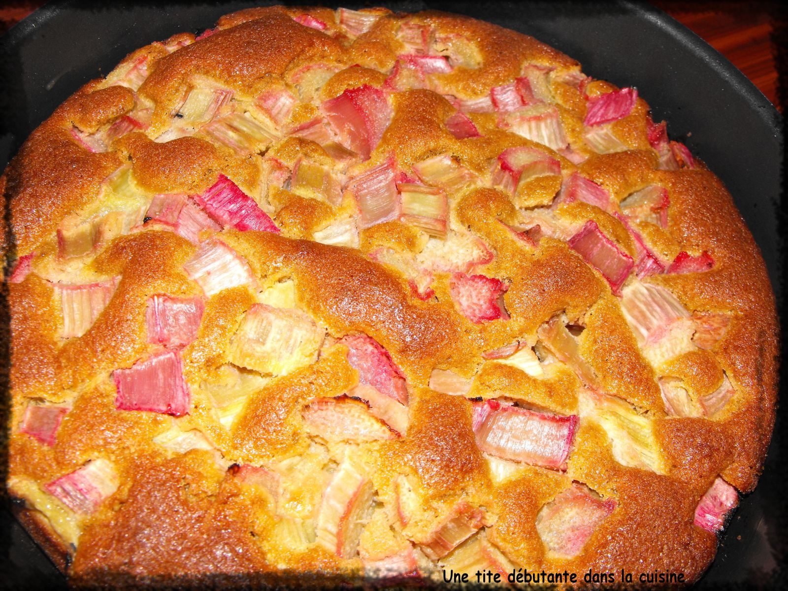 Gâteau moëlleux à la rhubarbe - Une tite débutante dans la cuisine !