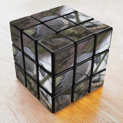 rubik-cube-marie-animallamina