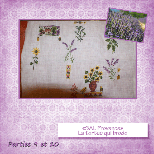photo9 latortue provence