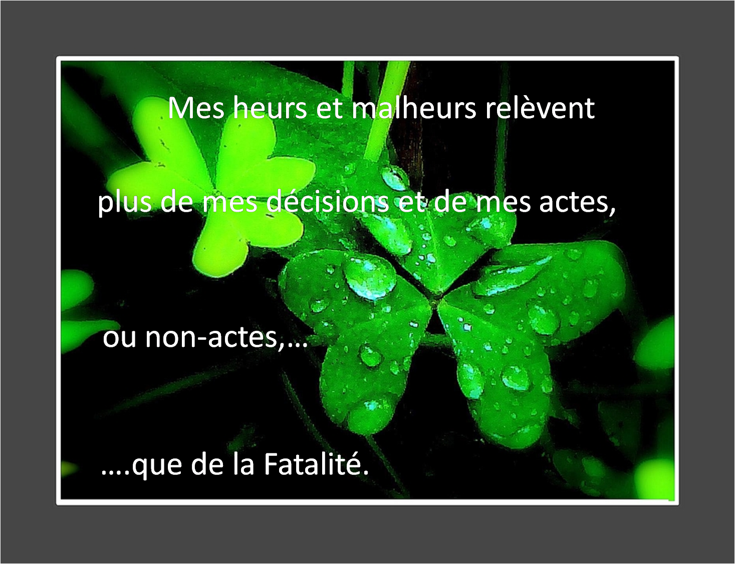 trèfles