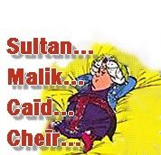 Sultan, Malik, Caid ou Cheïr Cheir...