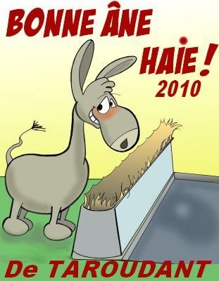 voeux2010