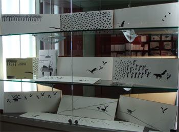 sana_vitrine1a-copie-2.jpg