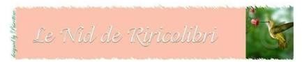 Banniere riri