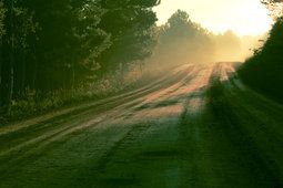 144115__morning-sun-light-road-forest-the-dew-nature_t.jpg