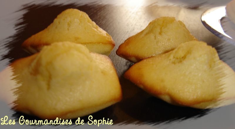 madeleines2_281008