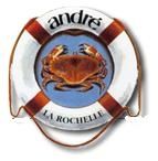 logoandre.JPG
