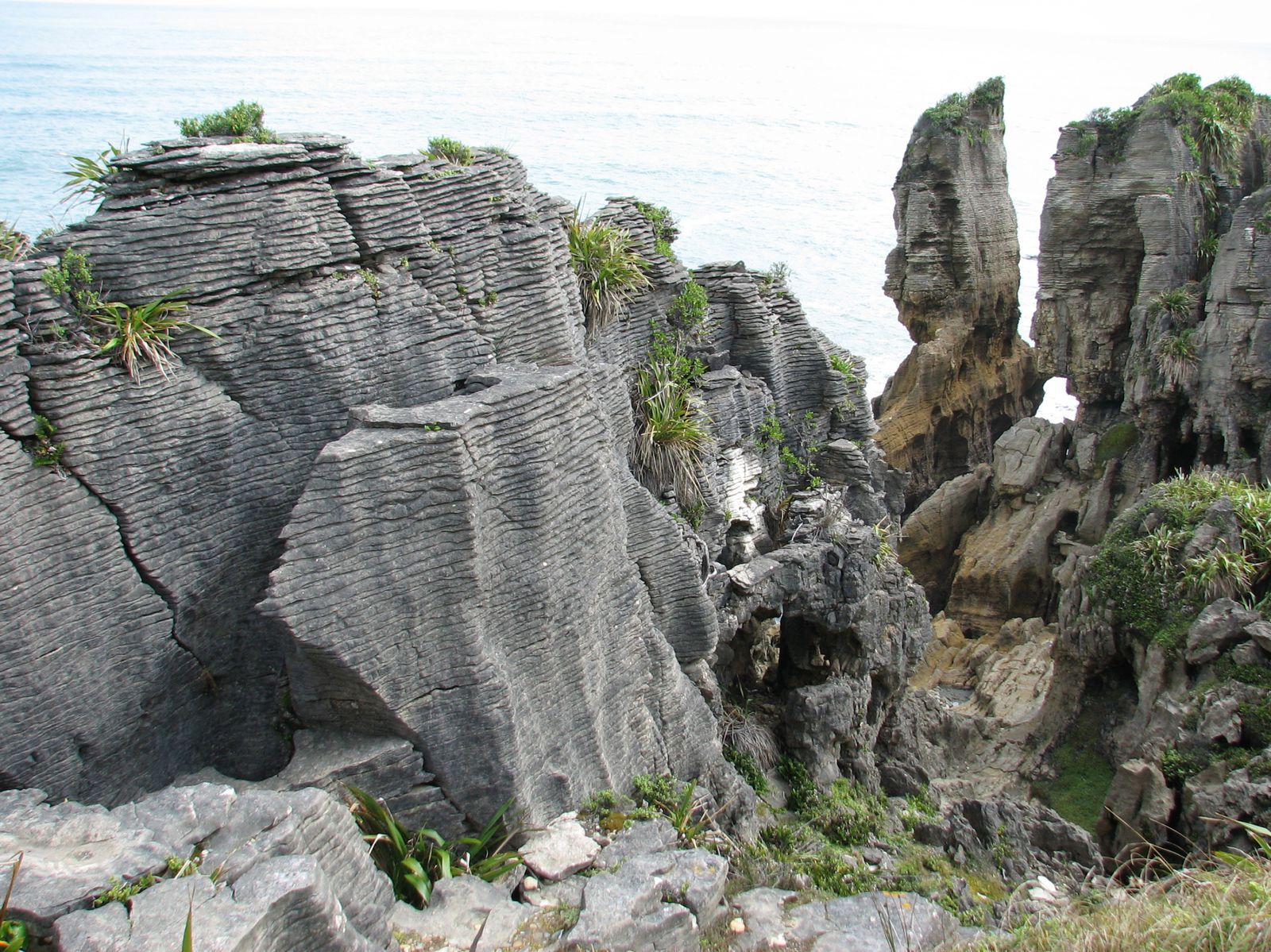 Pancakes rocks : un mille-feuille de pierre Pancakes rocks