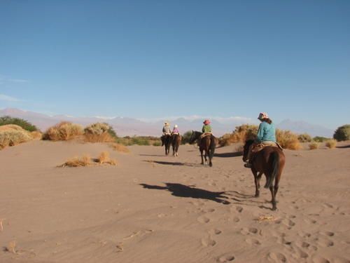 A l'approche d'une oasis dans le désert de l'Atacama (de G à D : Roberto, Maïlis, Léna, Soisick, moi je prends la photo à cheval) A cheval dans le désert de l'Atacama