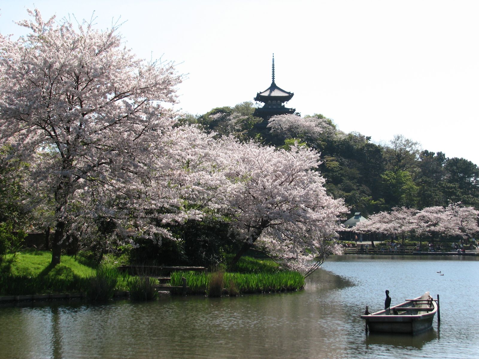 les jardins de Sankeien, vue de la pagode Jardins de Sankeien