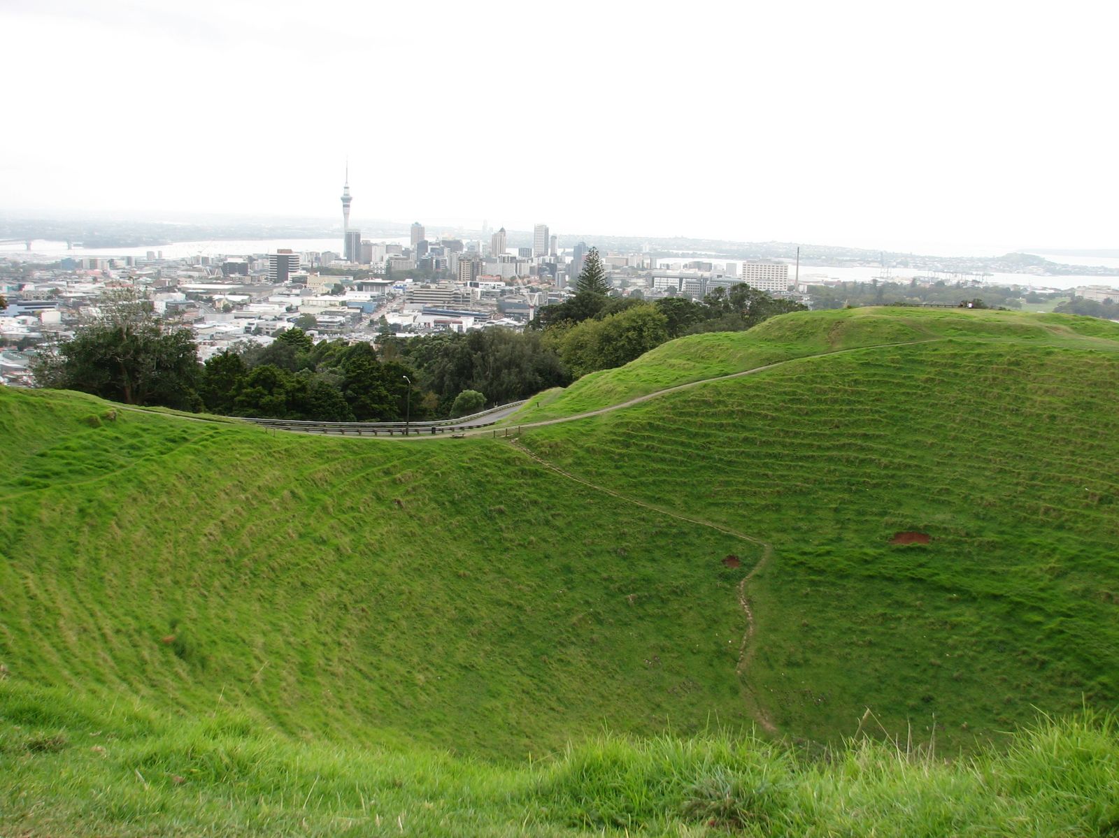 Volcan à Auckland, au fond la Sky Tower et la baie Volcan à Auckland