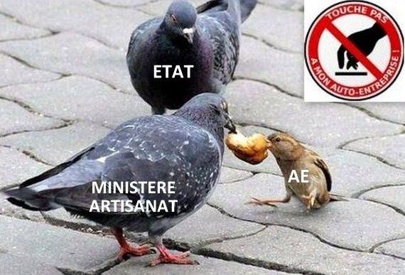 soutenir-auto-entrepreneur.jpg