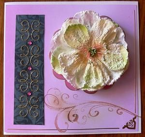 Cartes Pour Femmes La Carterie Creative