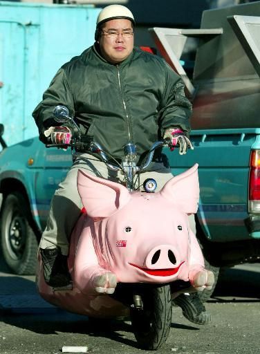 pig bike