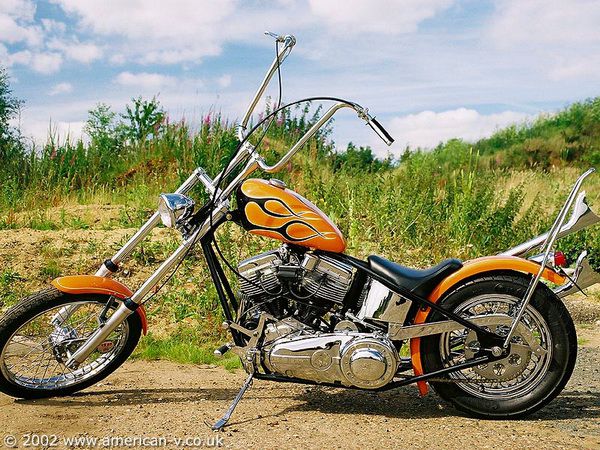 Elvis’ Panhead - Words & Pics: Rich King - www.american-v.co.uk Elvis’ Panhead - Words & Pics: Rich King - www.american-v.co.uk