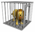 gif_anime_animaux-lion-cage_0593.gif